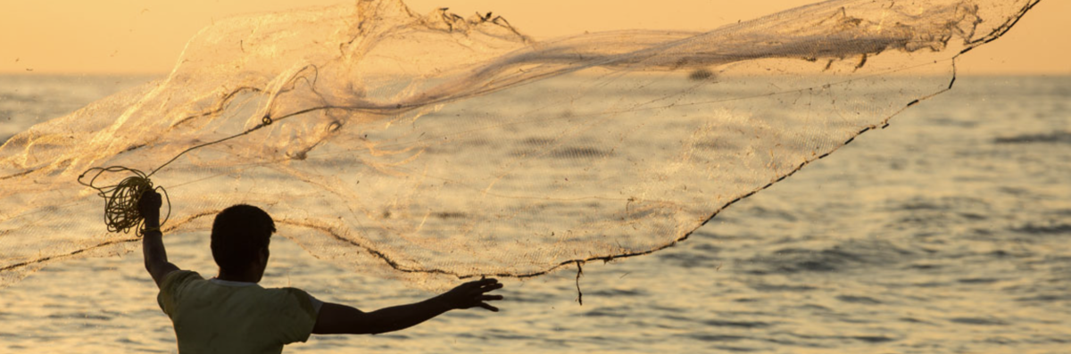 Homélie 5ᵉ dimanche Temps ordinaire A 